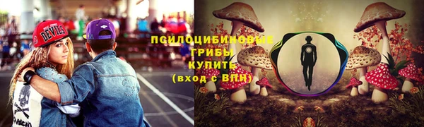 каннабис Алексеевка
